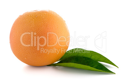 Ripe red grapefruit