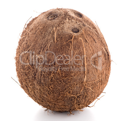 Coconut