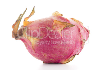 Pitaya or Dragon Fruit