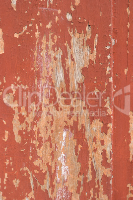 Wood old wall background