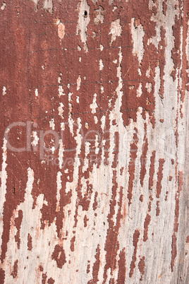 Wood old wall background