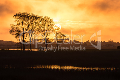 Warm calm sunset