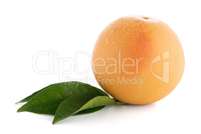 Ripe red grapefruit