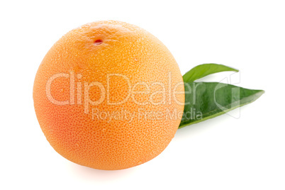 Ripe red grapefruit