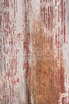 Wood old wall background