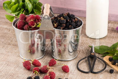 Metal buckets with fresh berries