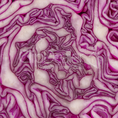 Close up view of a purple cabbage