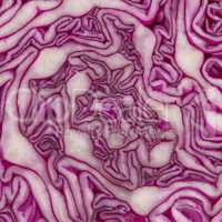 Close up view of a purple cabbage