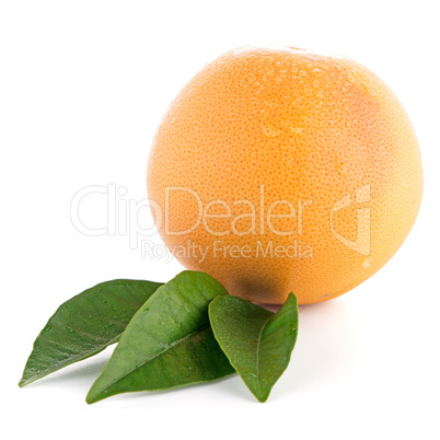 Ripe red grapefruit