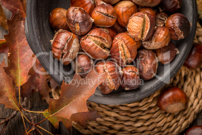 Roasted chestnuts and leaves