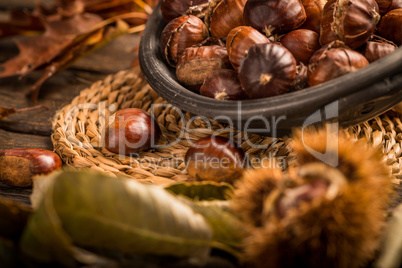 Roasted chestnuts and leaves