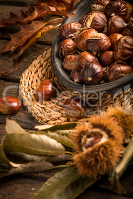 Roasted chestnuts and leaves