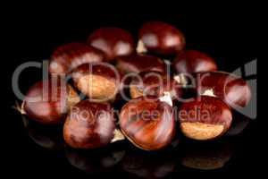 Chestnuts on a black reflective background
