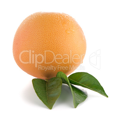 Ripe red grapefruit