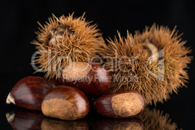 Chestnuts on a black reflective background