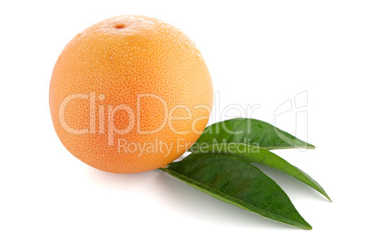 Ripe red grapefruit