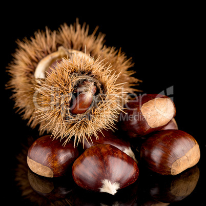 Chestnuts on a black reflective background