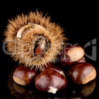 Chestnuts on a black reflective background