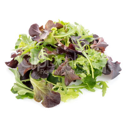 Fresh salad mix