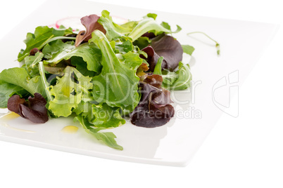 Fresh salad mix