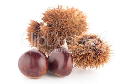 Chestnuts with shell