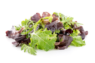 Fresh salad mix