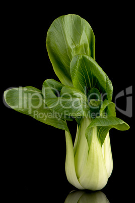 Pak choi on black