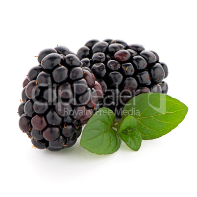 Blackberries with leaves