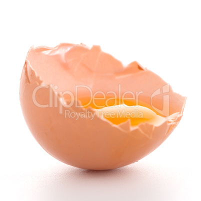 Raw egg isolated on white