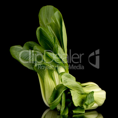 Pak choi on black