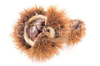 Chestnuts with shell