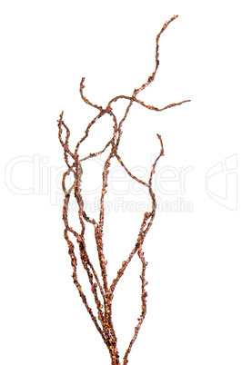 Golden Christmas decoration branches