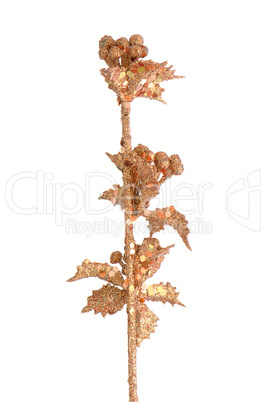 Golden Christmas decoration branches