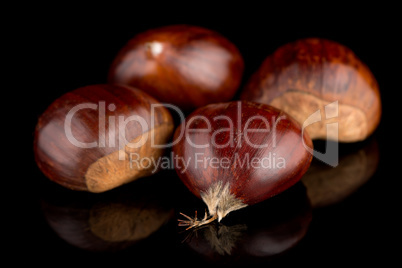 Chestnuts on a black reflective background