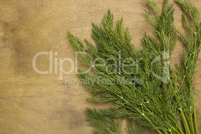 Sprigs of dill spice