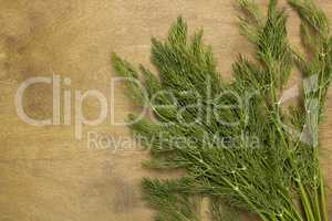 Sprigs of dill spice