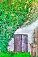 old door between the ivy in hdr