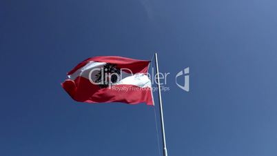 Österreich-Fahne 01