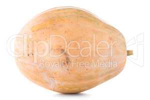 Calabash pumpkin