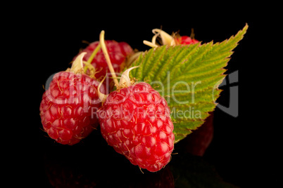 Fresh raspberries