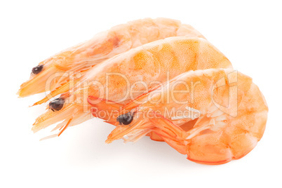 Three shrimps