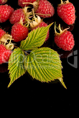 Fresh raspberries