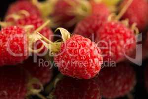 Fresh raspberries