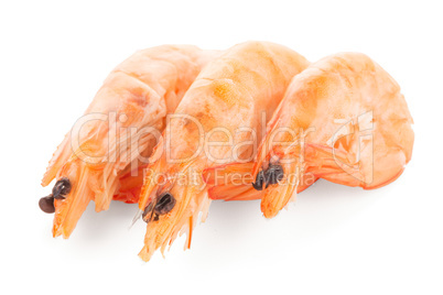 Three shrimps