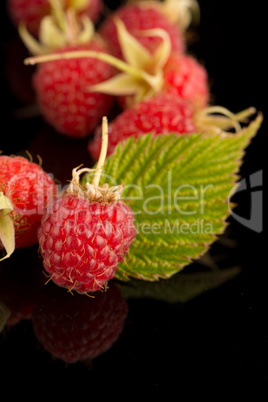 Fresh raspberries