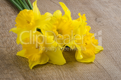 Jonquil flowers