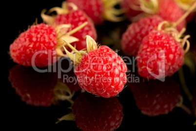 Fresh raspberries