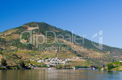 Vineyars in Douro Valley