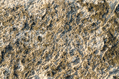 Rock texture surface