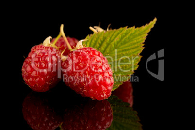 Fresh raspberries